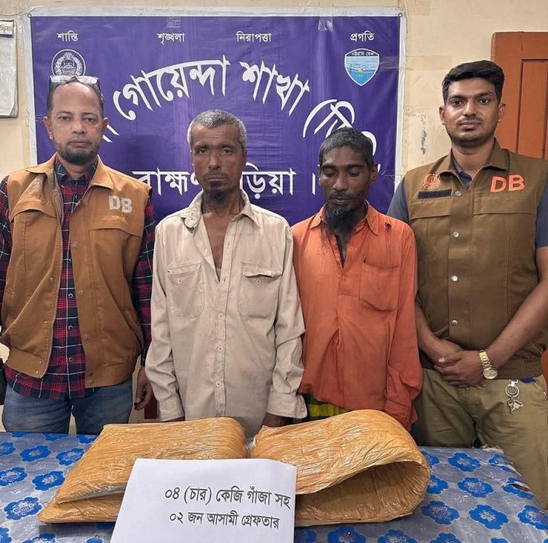 নবীনগরে ডিবির অভিযানে ৪ কেজি গাঁজাসহ দুই মাদক কারবারি গ্রেফতার