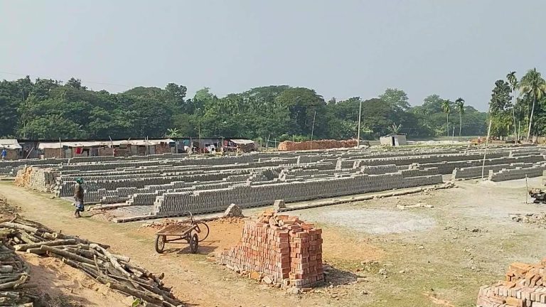 কাঁঠালিয়ায় প্রশাসনের অভিযানের পর আবারও চালু অবৈধ ইটভাটা, ক্ষুব্ধ স্থানীয়রা