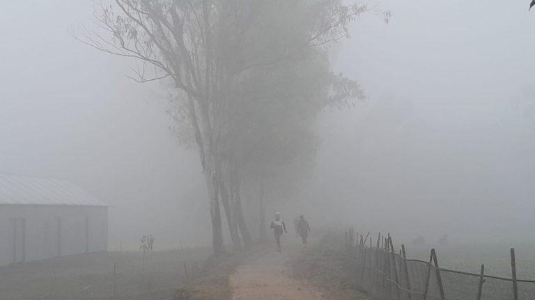 বকশীগঞ্জে ঘন কুয়াশা ও তীব্র শীতে বিপর্যস্ত জনজীবন