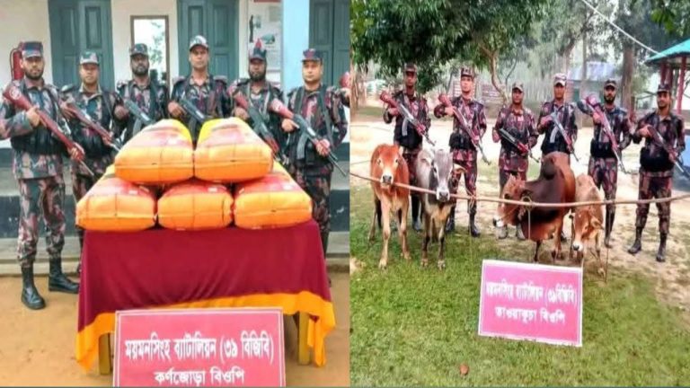 শ্রীবরদী সীমান্তে বিজিবির বিশেষ অভিযানে চার চোরাই গরু ও ২২৫ কেজি জিরা জব্দ