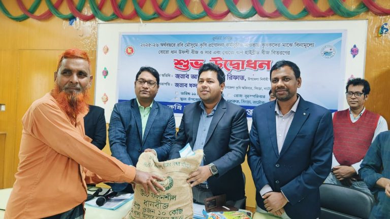নাটোর সিংড়ায় রবি মৌসুমে কৃষকদের মাঝে বিনামূল্যে বীজ ও সার বিতরণ