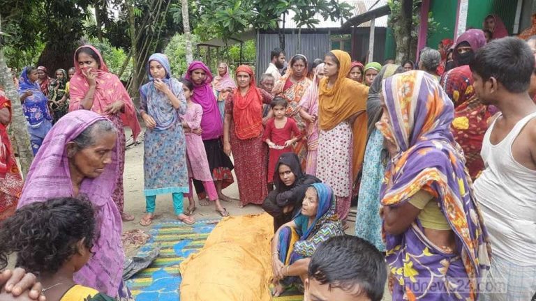 চাটখিলে পিকআপ ভ্যানের চাপায় নারী নিহত, চালক আটক