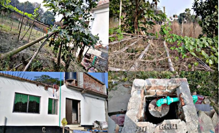 চাঁদা না দেওয়ায় প্রবাসীর বাড়িতে তাণ্ডব: প্রাণনাশের হুমকিসহ বিদ্যুৎ–গ্যাস সংযোগ বিচ্ছিন্ন