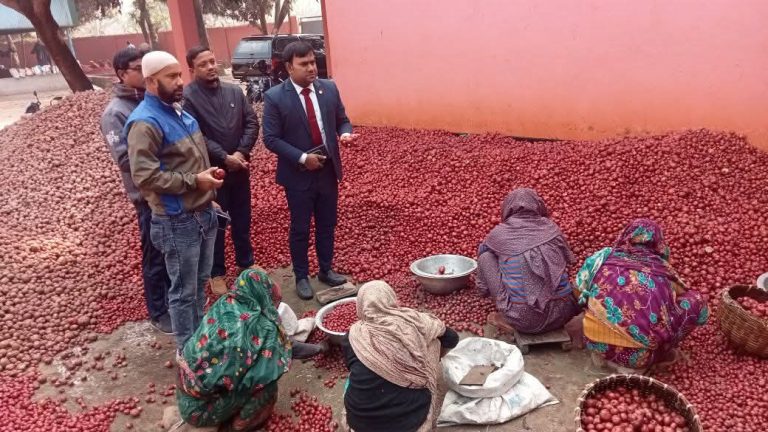 শিবগঞ্জ থেকে আলু ও সবজি রপ্তানি বাড়ায় লাভবান কৃষক