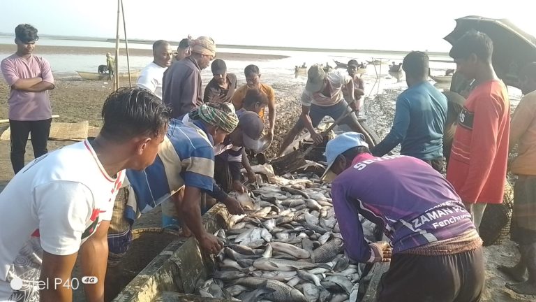 হাকালুকি হাওরে পৌষ সংরান্তিতে বিশাল মাছের হাট