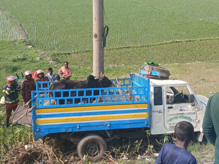 অষ্টগ্রামে পিকআপ ভ্যান খাদে পড়ে নিহত ১, আহত অন্তত ২০