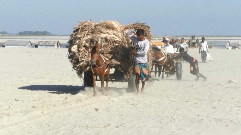 তিস্তা নদীর ভাঙন ঠেকাতে ভোটারদের একটাই দাবি: ‘নদী বাঁধি দাও, ভোট পাবে’