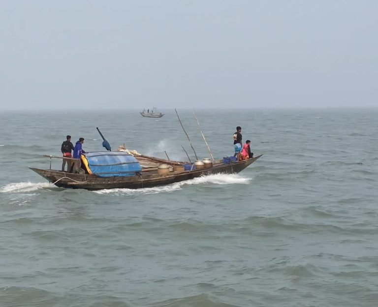 মেঘনায় দুই মাস মাছ ধরা নিষিদ্ধ, জাটকা সংরক্ষণে মনপুরায় প্রস্তুতি
