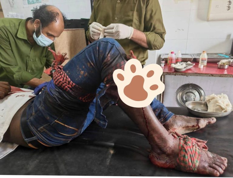 তালুকনগর গ্রামে জালাল ও পিন্টুর উপর সন্ত্রাসী হামলা