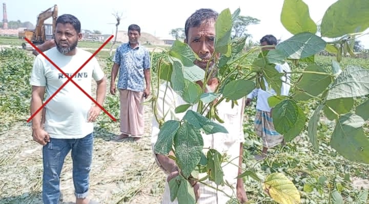 ভোলায় জমি দখলের চেষ্টা, ফসল নষ্টের অভিযোগে উত্তেজনা, প্রাণনাশের হুমকি