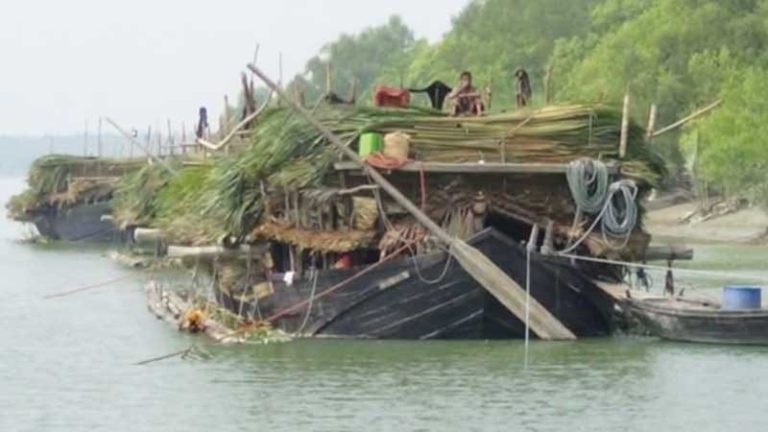 সুন্দরবনে শুরু গোলপাতা আহরণ মৌসুম, নৌকার মাপ নিয়ে বন বিভাগ ও বাওয়ালীদের দ্বন্দ্ব