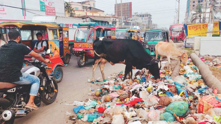 ঈদ বোনাসের দাবিতে বরিশালে পরিচ্ছন্নতাকর্মীদের কর্মবিরতি, নগরজুড়ে বর্জ্যের স্তূপ