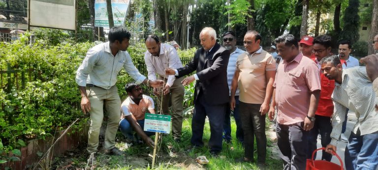 নীলফামারী জেলা পরিষদের বৃক্ষরোপণ কর্মসূচি শুরু
