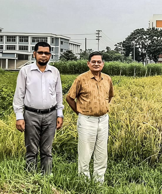 গাকৃবিতে স্বল্পমেয়াদী ও উচ্চ ফলনশীল চিকন ধানের জাত ‘জিএইউ ধান ৪’ উদ্ভাবন