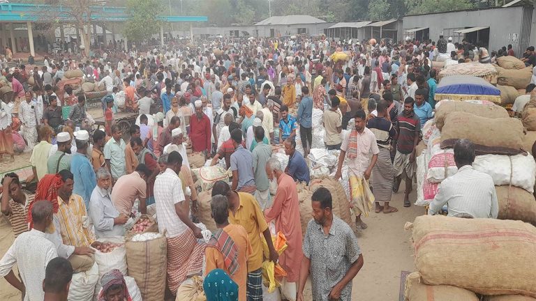 সুজানগরে পেঁয়াজের বাম্পার ফলন, দাম কমায় বিপাকে চাষি