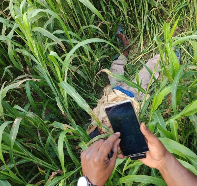 পাবনার শিশু মানিককে অপহরণের পর হত্যা, সিরাজগঞ্জে ঘাসক্ষেত থেকে লাশ উদ্ধার