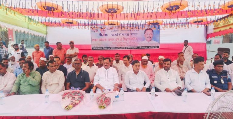 দৌলতপুরে উন্নয়ন সভা অনুষ্ঠিত, ঐক্যবদ্ধভাবে কাজের আহ্বান এমপি জিন্নাহ কবীরের