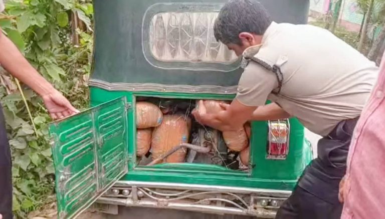 নেত্রকোণায় একদিনে দুই অভিযান: ৬০০ বোতল ফেন্সিডিল ও ২৮ কেজি গাঁজা উদ্ধার, আটক ৩