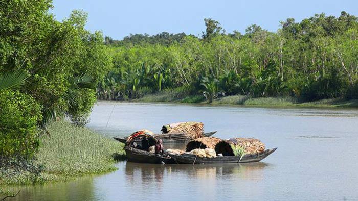 ‎সুন্দরবনের অভয়ারণ্যে অপরাধ প্রবণতা ঠেকাতে কঠোর নজরদারিতে বন বিভাগ