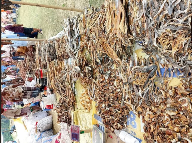 নাসিরনগরে শতবর্ষের ঐতিহ্যবাহী শুঁটকি মেলা, বিনিময় প্রথায় জমজমাট বৈশাখী আয়োজন