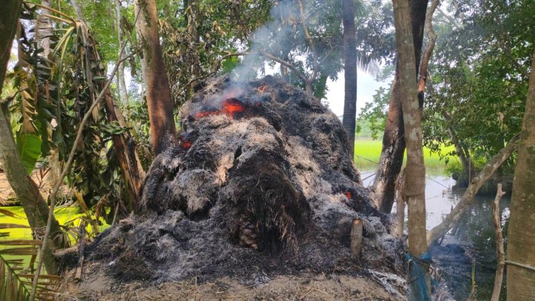 কাঁঠালিয়ায় জমি বিরোধের জেরে গরুর খাদ্যে আগুন