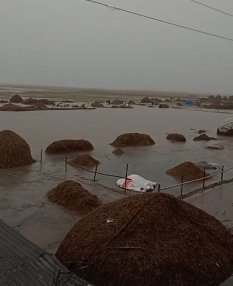 নাসিরনগরে টানা বৃষ্টি ও উজানের ঢলে হাওরের ধান তলিয়ে কৃষকের হাহাকার