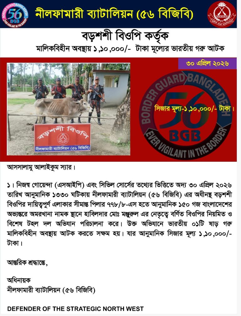 পঞ্চগড় সীমান্তে বিজিবির অভিযান: ভারতীয় গরু আটক, চোরাচালান দমনে কঠোর অবস্থান