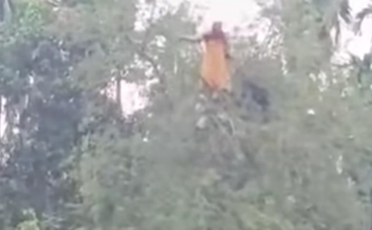 কুড়িগ্রামে নিখোঁজ নারী গাছের ডালে অস্বাভাবিক অবস্থায় উদ্ধার, এলাকায় চাঞ্চল্য