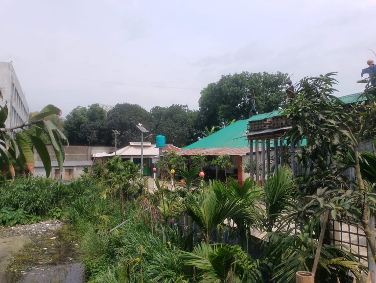 ১২ কোটি টাকা মূল্যের সরকারি জমিতে জাপা চেয়ারম্যানের হোটেল, অফিস, কবুতর খামার 