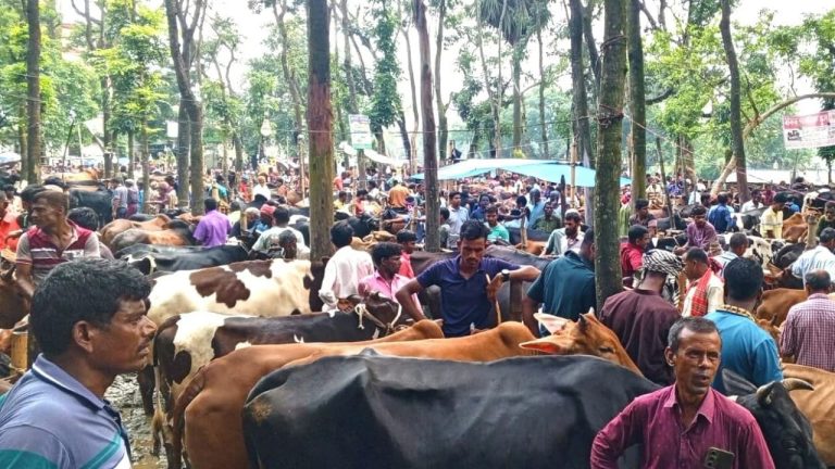 কুড়িগ্রামে বিএনপি নেতার ছেলের নামে ইজারা নেয়া হাটে অতিরিক্ত হাসিল আদায়ের অভিযোগ