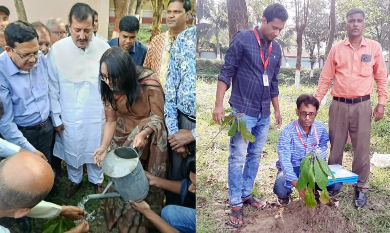 পাবনায় ইয়াং জার্নালিস্টের উদ্যোগে বৃক্ষরোপণ