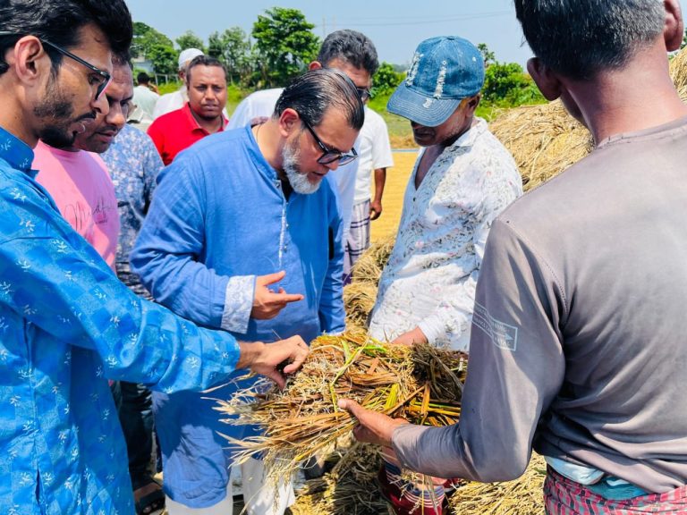 দিলালপুরে বৃষ্টিতে ক্ষতিগ্রস্ত কৃষকদের পাশে বিএনপি নেতা অ্যাডভোকেট এহসানুল হুদা