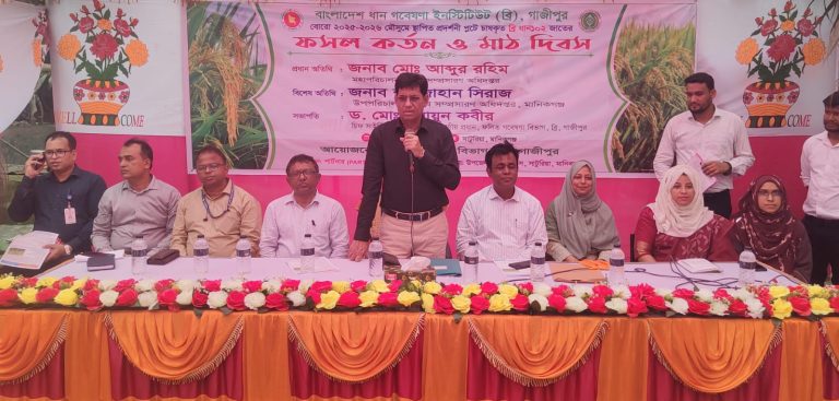 আগামীতে বিঘায় ৬০ মন ধান ফলনের আশা: সাটুরিয়ায় মাঠ দিবসে কৃষি সম্প্রসারণ অধিদপ্তরের ডিজি