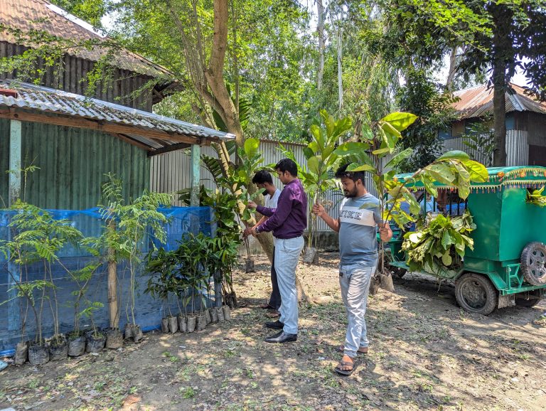 হরিরামপুরে “শ্যামল নিসর্গ” পরিবেশ সংগঠনের নার্সারি কার্যক্রম শুরু