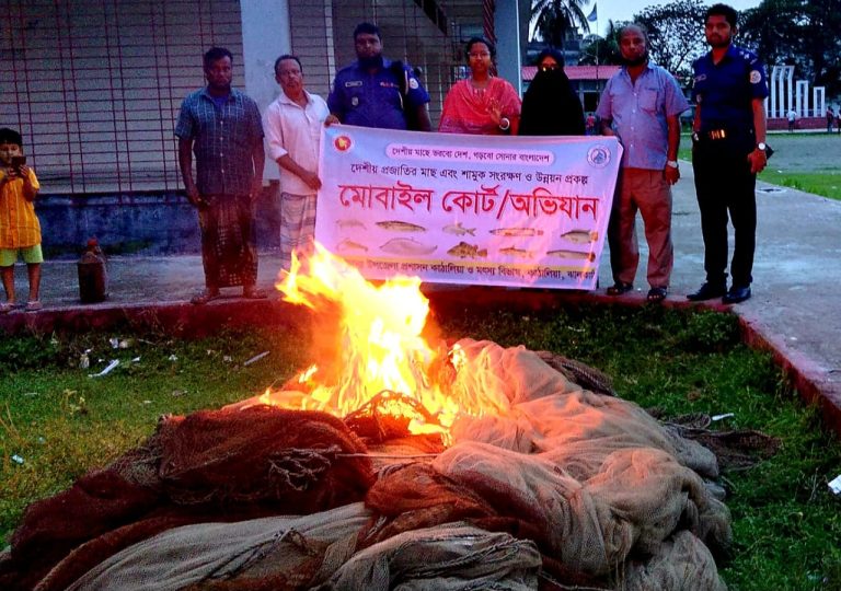 কাঁঠালিয়ায় মৎস্য অফিসের অভিযান: বিপুল পরিমাণ নিষিদ্ধ বেহুন্দি জাল জব্দ