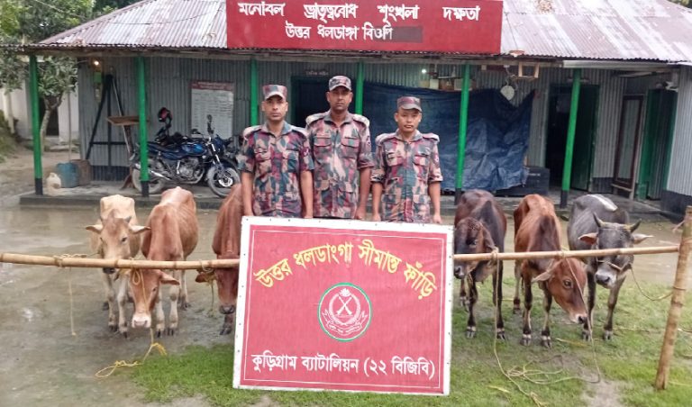 কুড়িগ্রামে বিজিবির অভিযানে সীমান্তে ১৫ লক্ষাধিক টাকার ইয়াবা ট্যাবলেট,গবাদিপশু ও চোরাচালানী পণ্য আটক