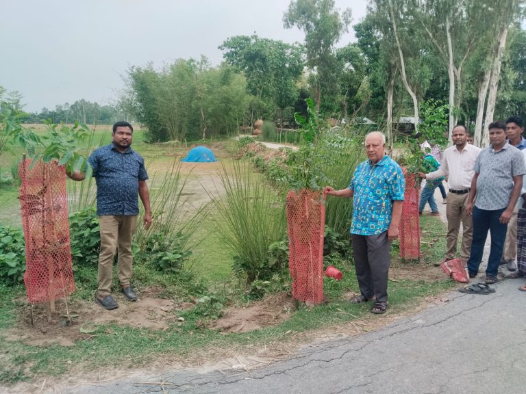 নীলফামারীতে জেলা পরিষদের উদ্যোগে ১২০০ গাছের চারা রোপণ