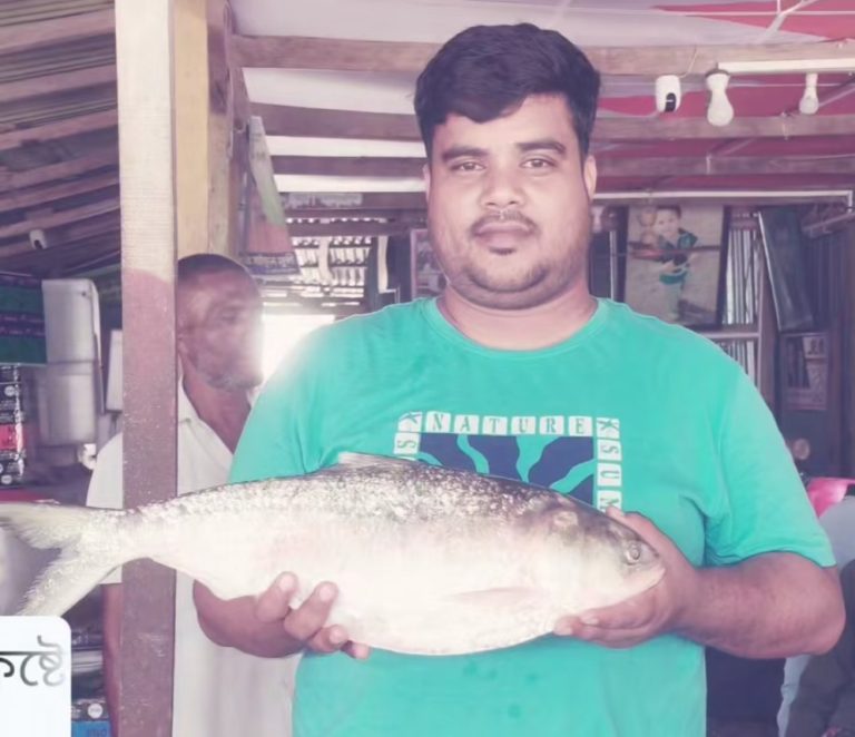 মনপুরায় জেলের জালে ‘রাজা ইলিশ’, বিক্রি হলো ৯ হাজার টাকায়