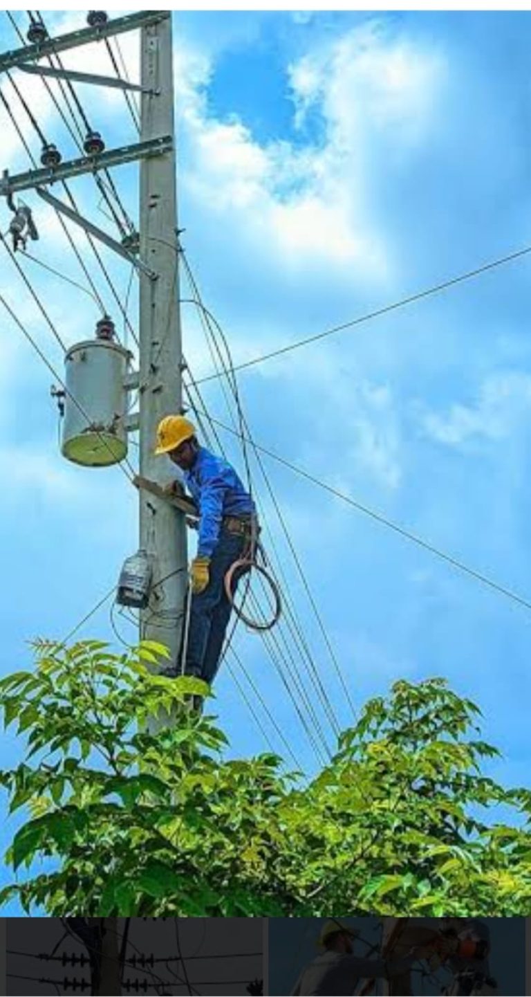 গলাচিপা পল্লী বিদ্যুতের সেবার মান উন্নয়ন ও সরকারি দপ্তরের জবাবদিহিতা নিশ্চিতের দাবি