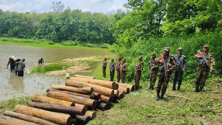 নানিয়ারচরে সেনাবাহিনীর অভিযানে চুরি হওয়া বিপুল পরিমাণ সেগুন কাঠ উদ্ধার