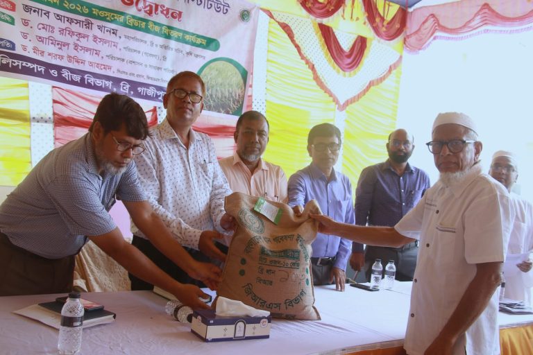 ব্রি’র আমন-২০২৬ মৌসুমে ব্রিডার বীজ বিতরণ কার্যক্রম শুরু