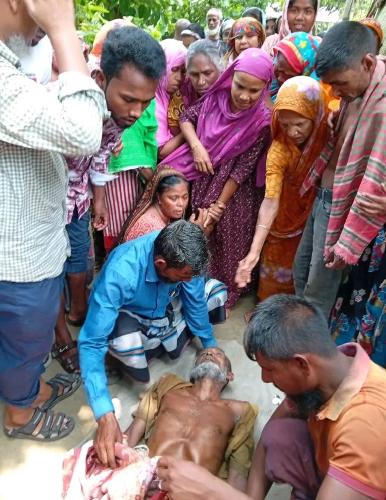 উলিপুরে কাঁঠাল পাড়তে গিয়ে বিদ্যুৎস্পৃষ্টে ব্যবসায়ীর মৃত্যু