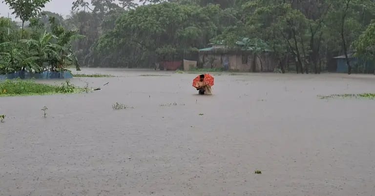 টানা বৃষ্টি ও অস্বাভাবিক জোয়ারে প্লাবিত হাতিয়া, দুর্ভোগে উপকূলবাসী
