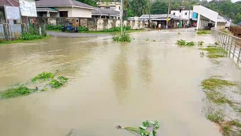 টানা বর্ষণে বাঘাইছড়িতে বন্যা পরিস্থিতির অবনতি, পানিবন্দি হাজারো মানুষ