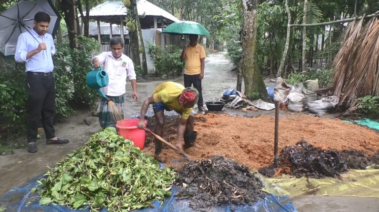 কুড়িগ্রামে বাড়ছে ট্রাইকো কম্পোস্টের ব্যবহার, কমছে উৎপাদন খরচ ও রাসায়নিক সারের নির্ভরতা