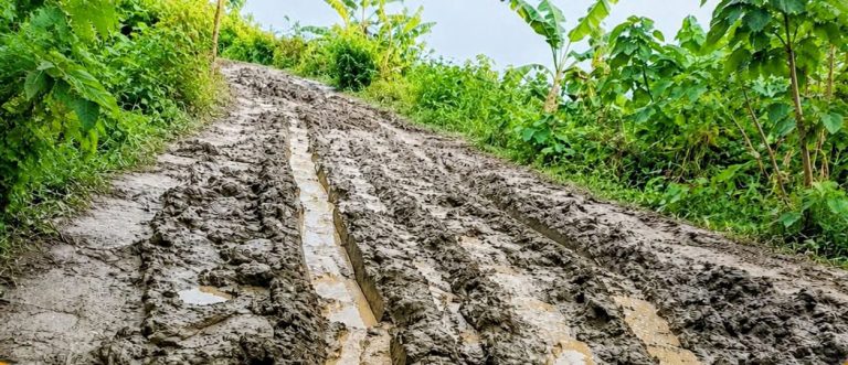 চরভদ্রাসনে বেহাল চরশালেপুর-সার্ভিসঘাট সড়ক, চরম দুর্ভোগে এলাকাবাসী